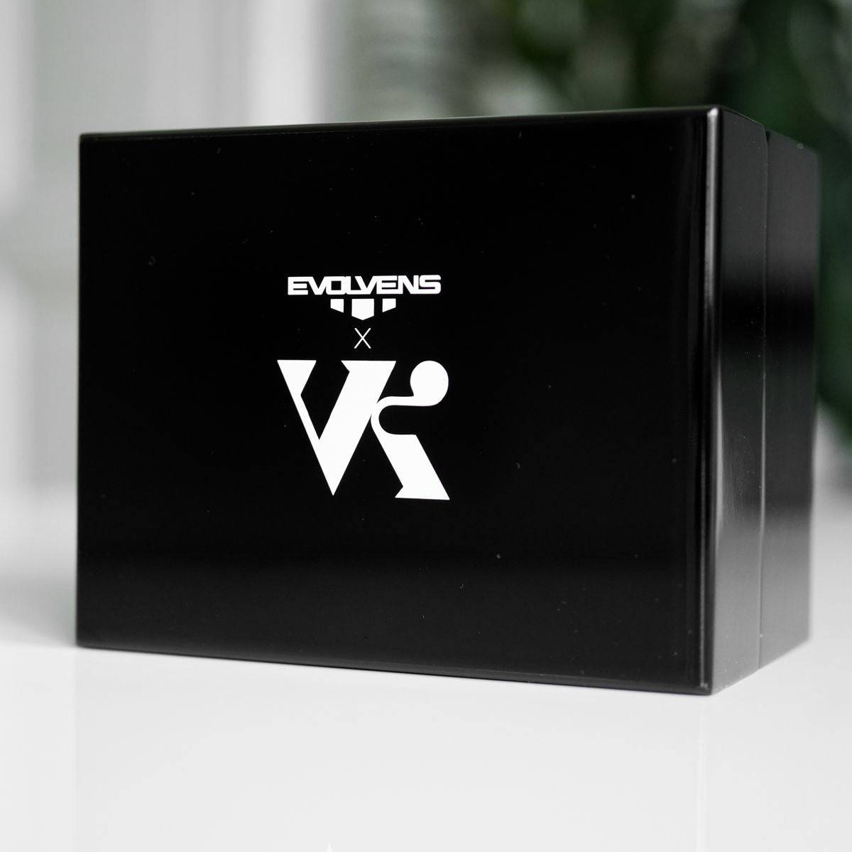 Cutie cadou din lemn Evolvens®