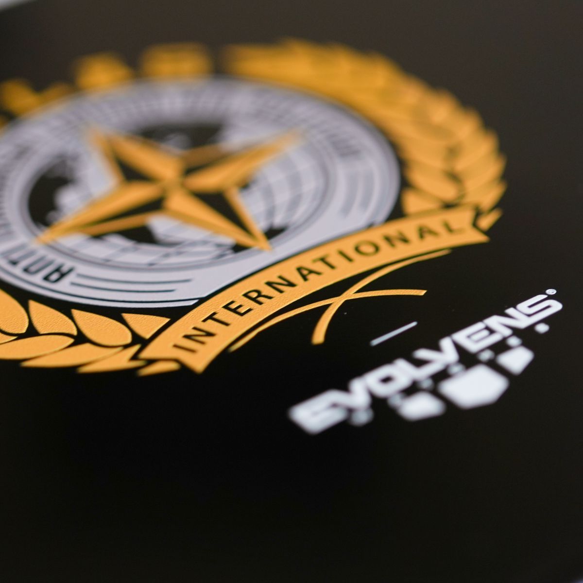 Cutie cadou din lemn Evolvens®